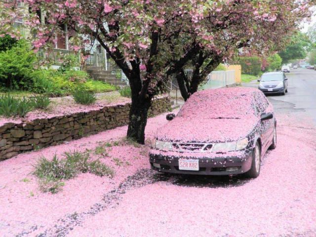 Morning Picdump
