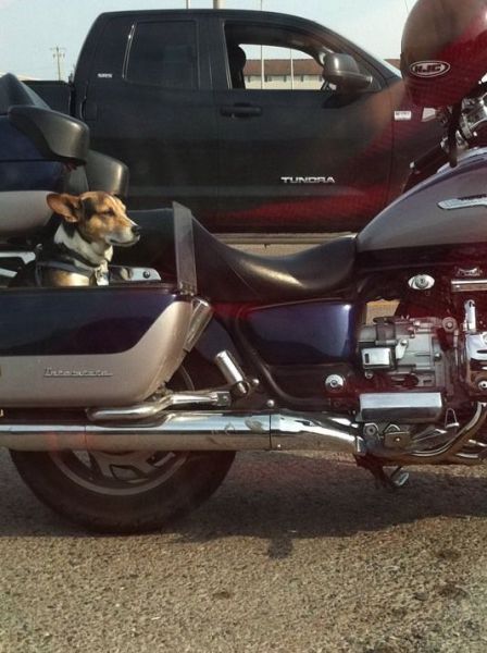 morning picdump 52 pics 16.html - 52 HD Photos | Premium Gallery 2013