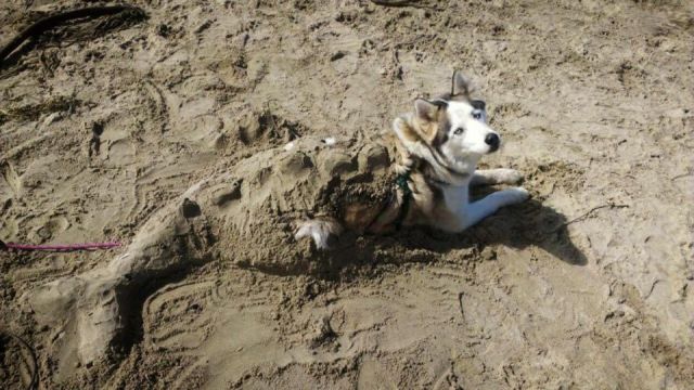daily picdump 94 pics 46.html - 94 HD Photos | Premium Gallery 2013