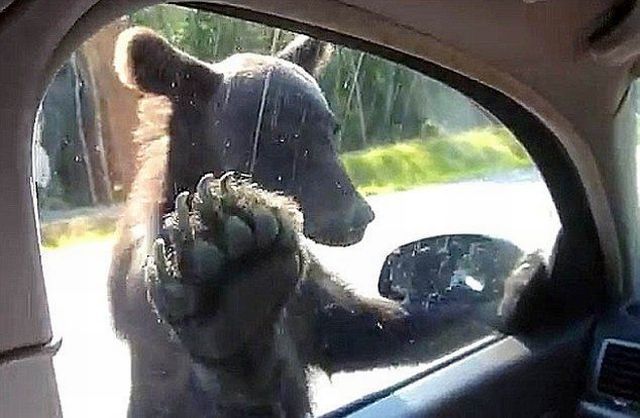 daily picdump 94 pics 46.html - 94 HD Photos | Premium Gallery 2013