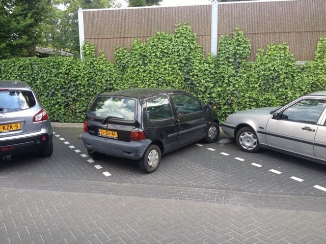 Morning Picdump