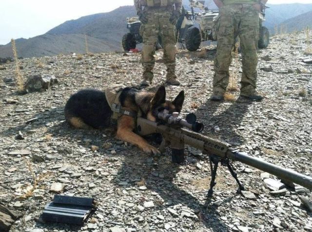 Morning Picdump