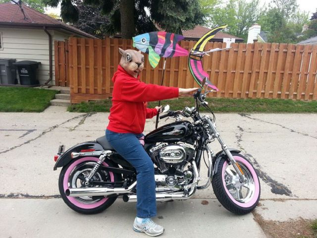 morning picdump 53 pics 8.html - 53 HD Photos | Premium Gallery 2013