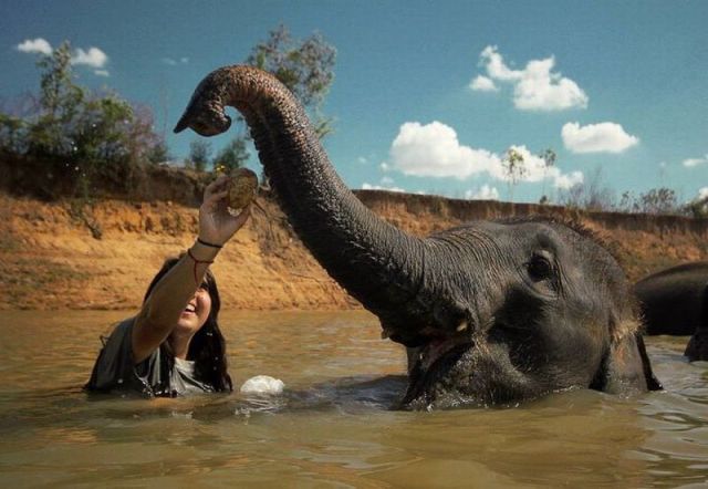 Morning Picdump