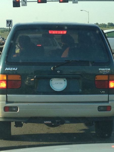 Morning Picdump
