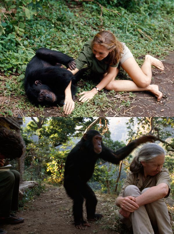 morning picdump 54 pics 20.html - 54 HD Photos | Premium Gallery 2013