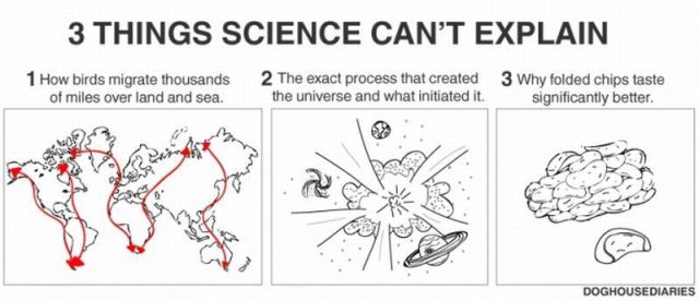 morning picdump 53 pics 15.html - 53 HD Photos | Premium Gallery 2013