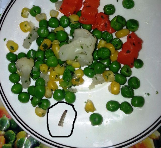 morning picdump 53 pics 15.html - 53 HD Photos | Premium Gallery 2013