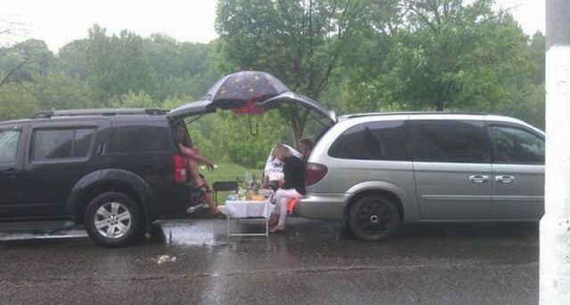 Morning Picdump