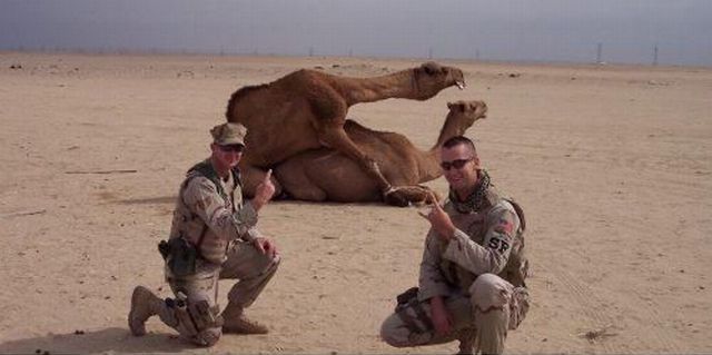 morning picdump 53 pics 3.html - 53 HD Photos | Premium Gallery 2013