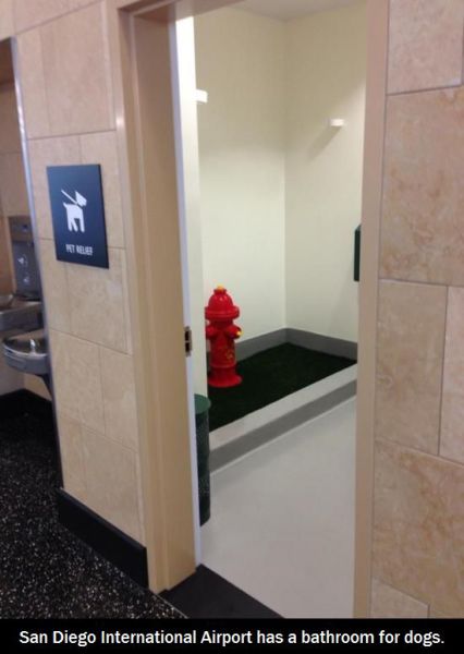 morning picdump 53 pics 3.html - 53 HD Photos | Premium Gallery 2013
