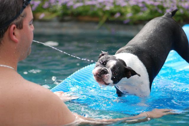 morning picdump 53 pics 3.html - 53 HD Photos | Premium Gallery 2013