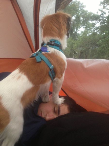 morning picdump 55 pics 7.html - 55 HD Photos | Premium Gallery 2013