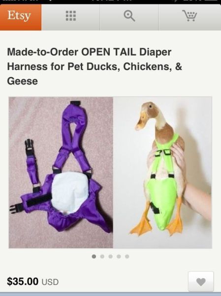 morning picdump 55 pics 7.html - 55 HD Photos | Premium Gallery 2013