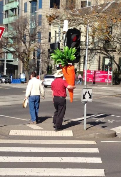 morning picdump 55 pics 7.html - 55 HD Photos | Premium Gallery 2013