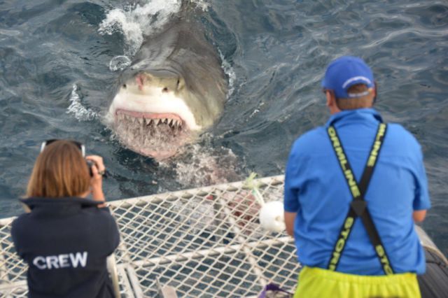 morning picdump 55 pics 7.html - 55 HD Photos | Premium Gallery 2013