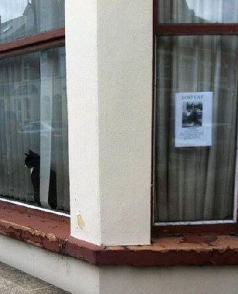 morning picdump 55 pics 7.html - 55 HD Photos | Premium Gallery 2013