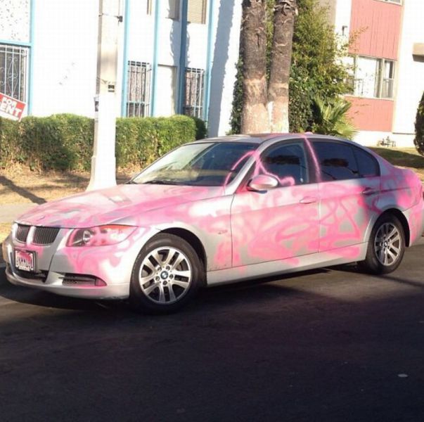 Morning Picdump