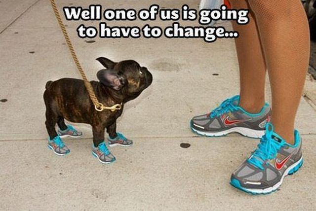 Morning Picdump