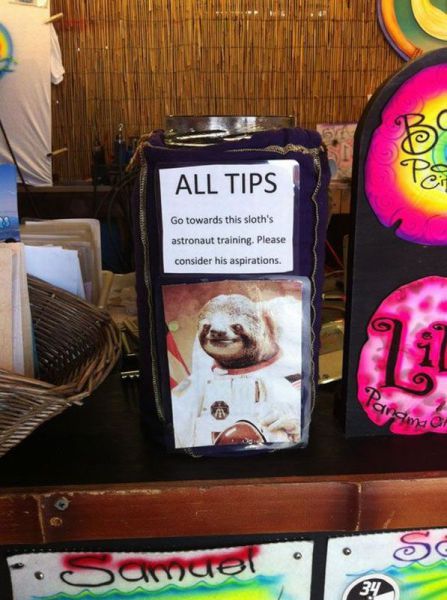 Morning Picdump