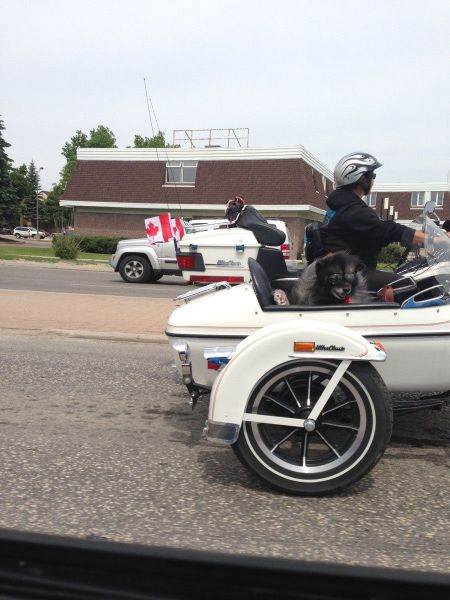 morning picdump 53 pics 5.html - 53 HD Photos | Premium Gallery 2013
