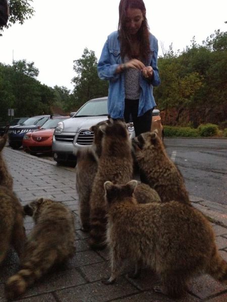 morning picdump 53 pics 5.html - 53 HD Photos | Premium Gallery 2013