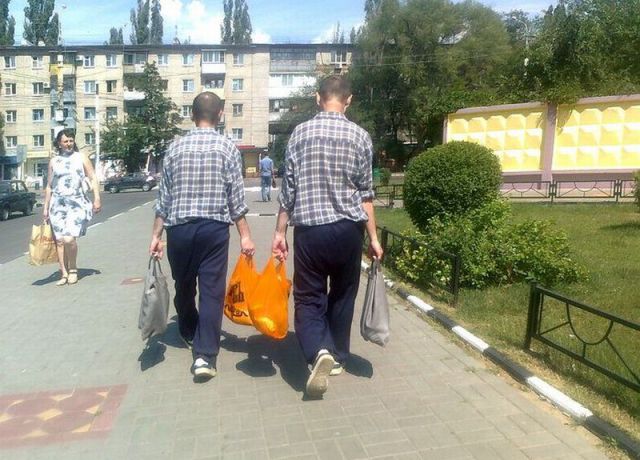 Morning Picdump