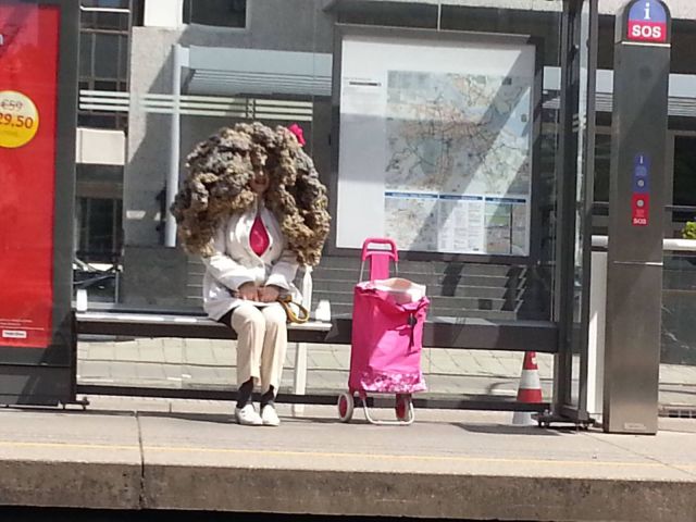 Morning Picdump