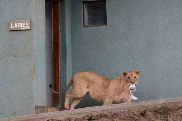 morning picdump 54 pics 12.html - 54 HD Photos | Premium Gallery 2013