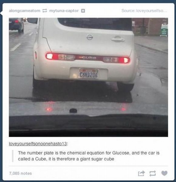morning picdump 54 pics 12.html - 54 HD Photos | Premium Gallery 2013