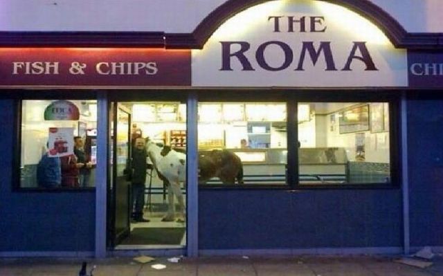 morning picdump 50 pics 3.html - 50 HD Photos | Premium Gallery 2013