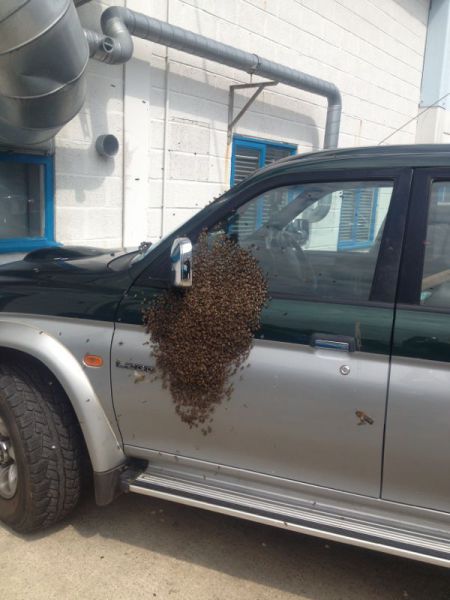 morning picdump 50 pics 3.html - 50 HD Photos | Premium Gallery 2013