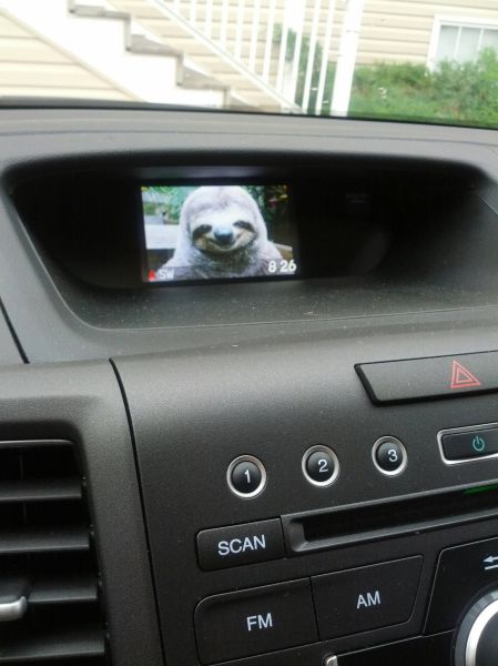 morning picdump 50 pics 3.html - 50 HD Photos | Premium Gallery 2013