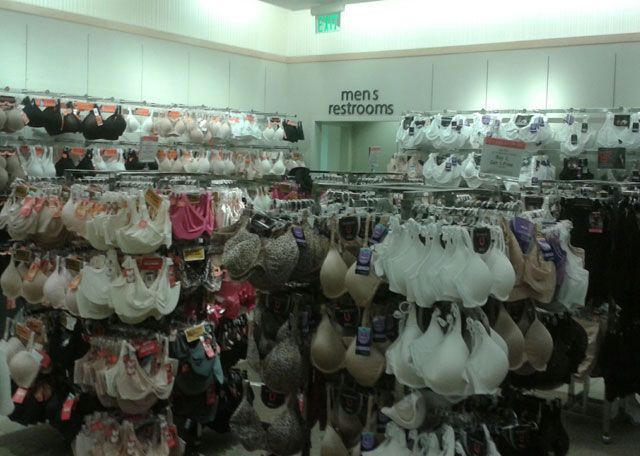 morning picdump 50 pics 3.html - 50 HD Photos | Premium Gallery 2013