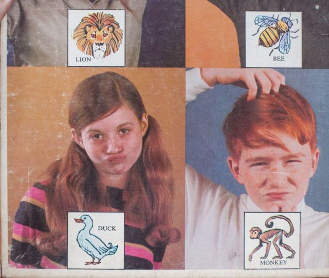 morning picdump 50 pics 3.html - 50 HD Photos | Premium Gallery 2013