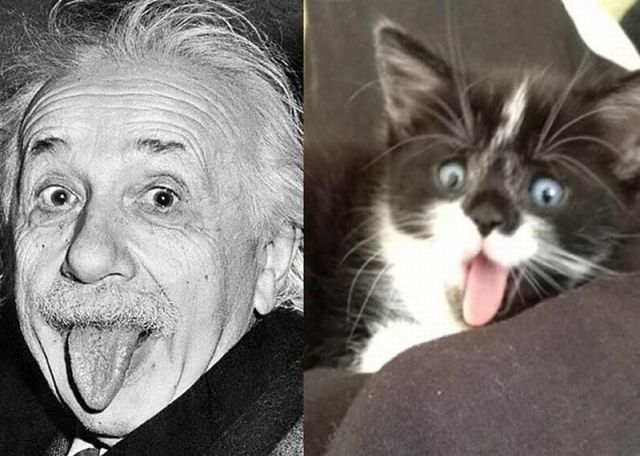 morning picdump 50 pics 3.html - 50 HD Photos | Premium Gallery 2013