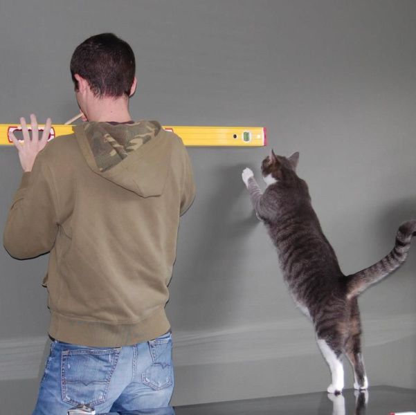 morning picdump 50 pics 3.html - 50 HD Photos | Premium Gallery 2013