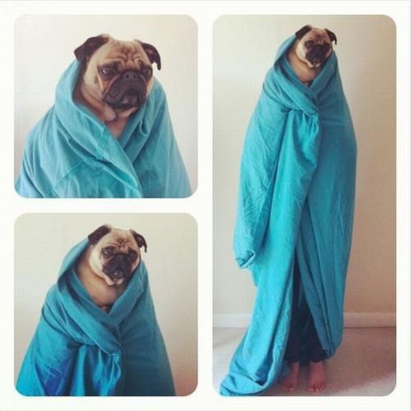 morning picdump 50 pics 3.html - 50 HD Photos | Premium Gallery 2013