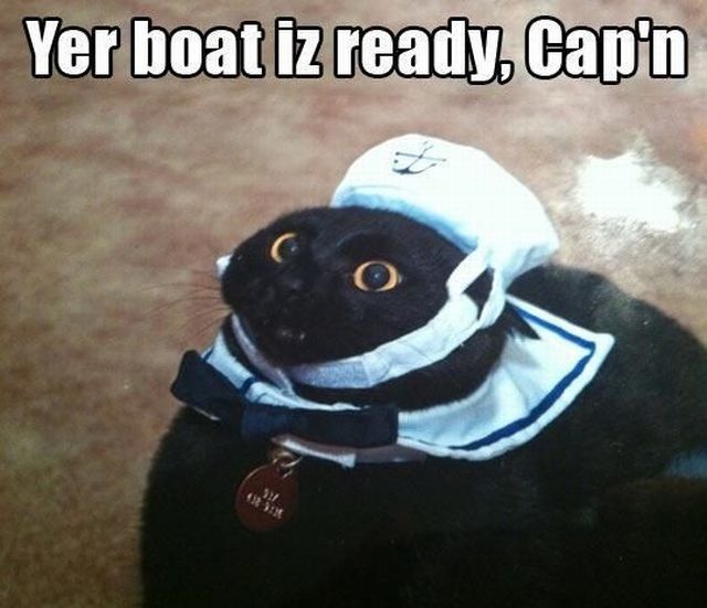 Morning Picdump