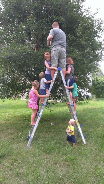 Morning Picdump