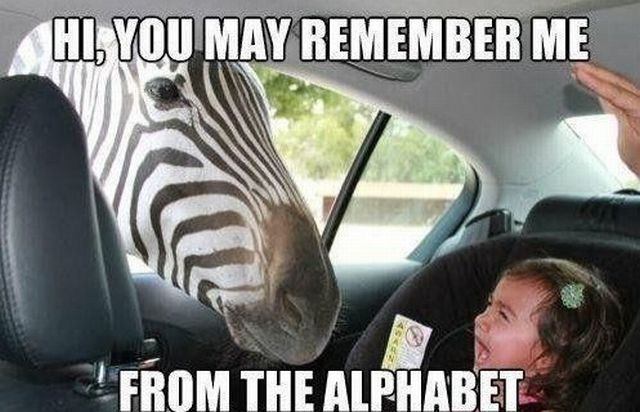 Morning Picdump