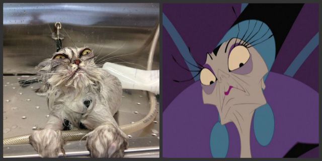 morning picdump 57 pics 10.html - 57 HD Photos | Premium Gallery 2013