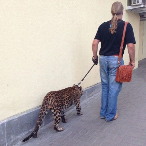 morning picdump 57 pics 10.html - 57 HD Photos | Premium Gallery 2013