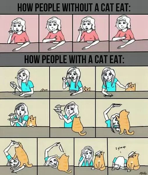 Morning Picdump