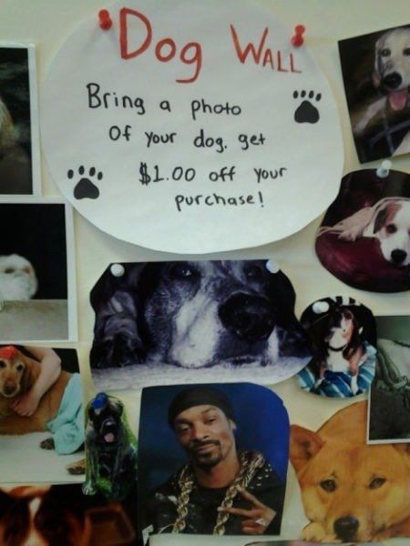Morning Picdump
