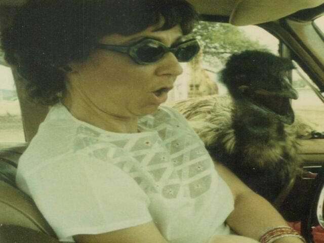 morning picdump 55 pics 7.html - 55 HD Photos | Premium Gallery 2013