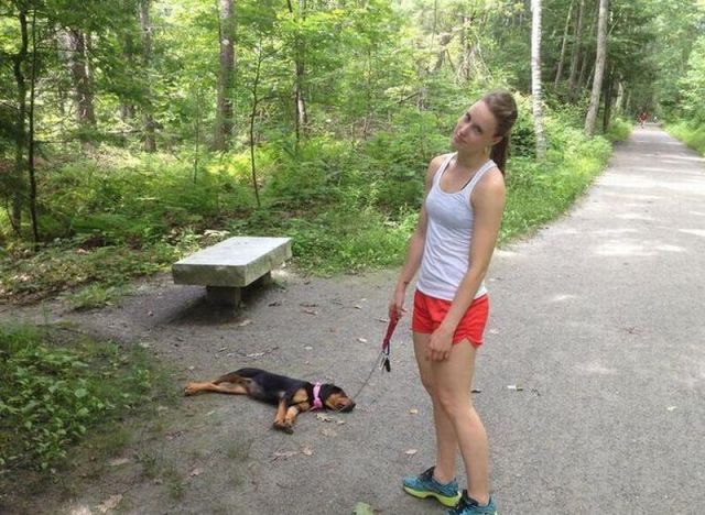 morning picdump 55 pics 7.html - 55 HD Photos | Premium Gallery 2013