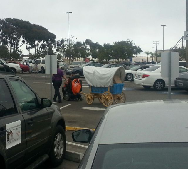 morning picdump 55 pics 7.html - 55 HD Photos | Premium Gallery 2013