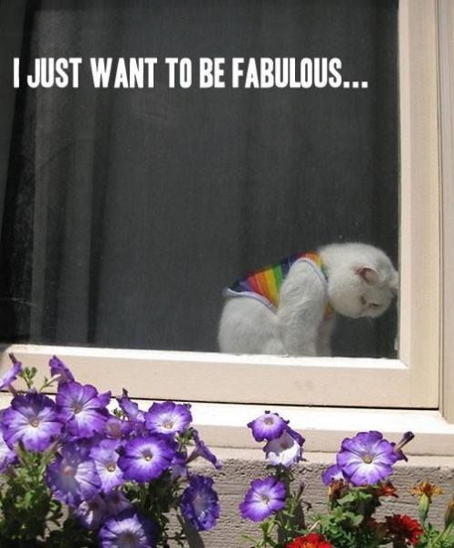 morning picdump 55 pics 7.html - 55 HD Photos | Premium Gallery 2013