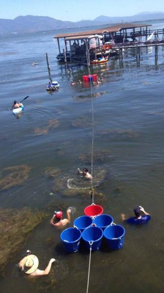 morning picdump 55 pics 7.html - 55 HD Photos | Premium Gallery 2013